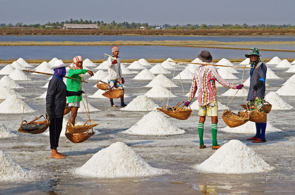 THE UNCOMMON STORY OF THE COMMON SALT_7289